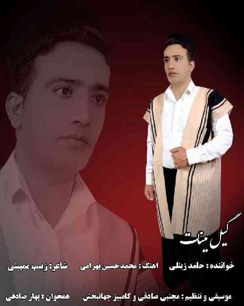 حامد زینلی گیل مینات